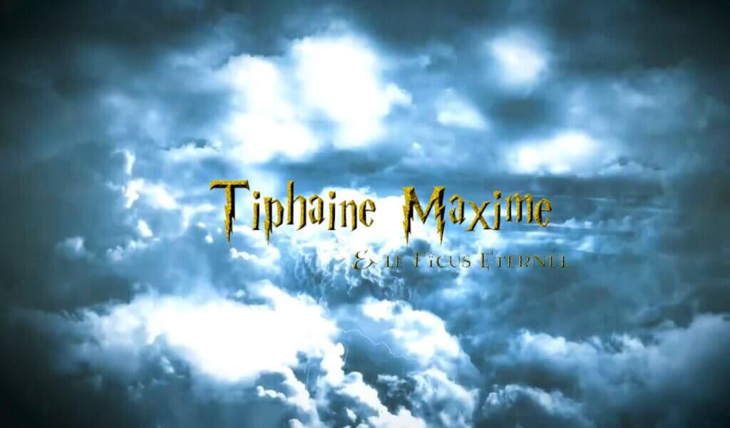 film cinématique mariage